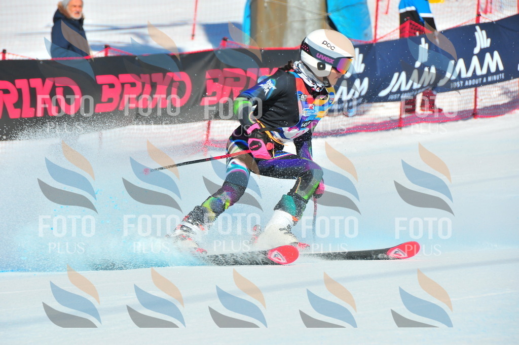 DSC_3776 | holidayphoto