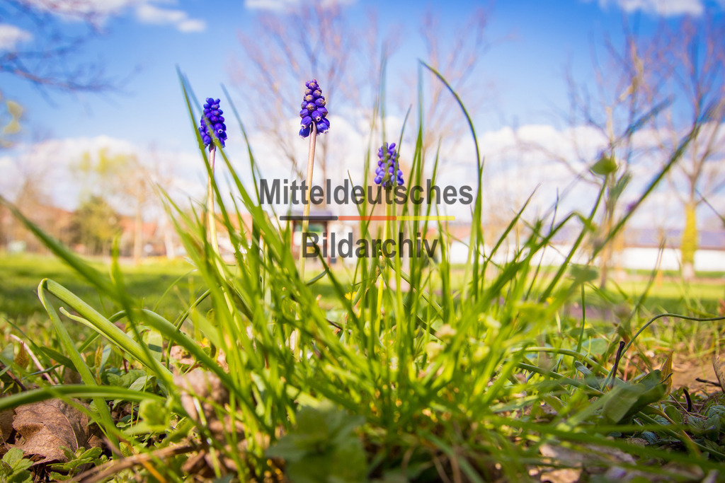 Eichenbarleben-2688 | Park Eichenbarleben - Realisiert mit Pictrs.com