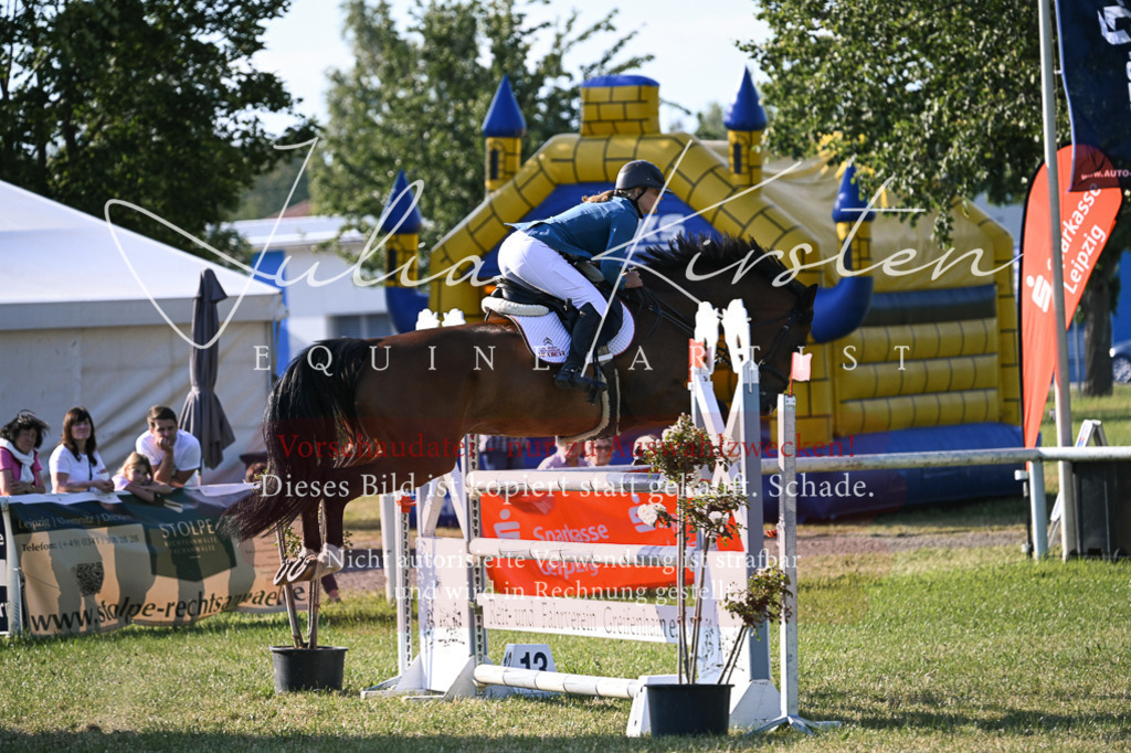 DSC_1615 | Pferde- und Turnierfotografie in Westsachsen. Pferdeportraits, Auftragszeichnungen und intuitive Kunst.