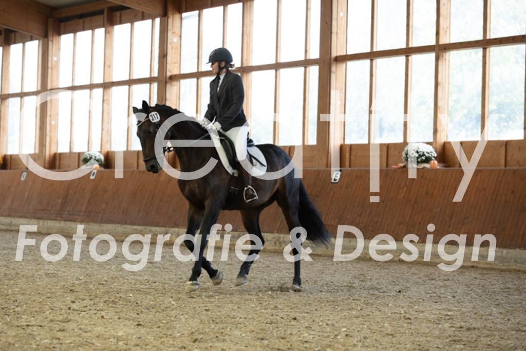 IMG_5688 | Creatify Fotografie