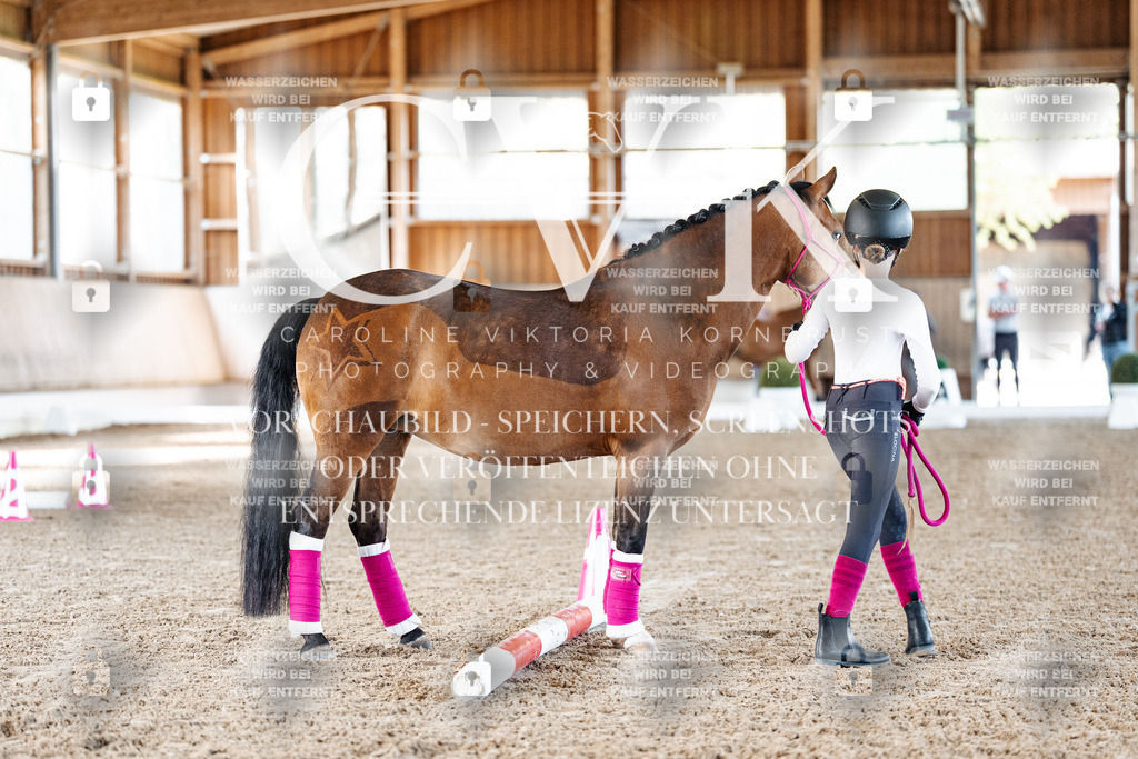 CK905545 | Turnierfotografie Pferdefotografie Trier Rheinland-Pfalz Pferdesport Reitsport Tierfotografie Sportfotografie Pferdevideo Pferdevideografie Equestrianvideography equestrianphotography  - Realisiert mit Pictrs.com