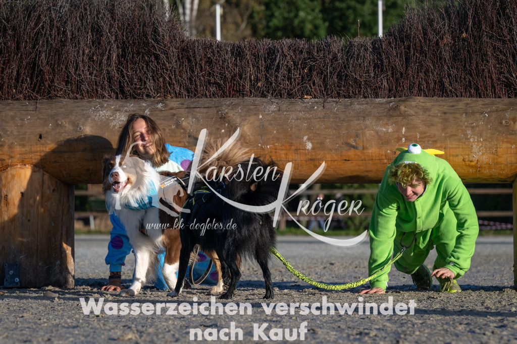 0937-94209 | kk-dogfotos