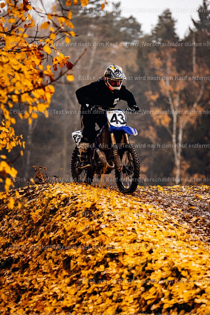 E68A4218 | blick_win_kel