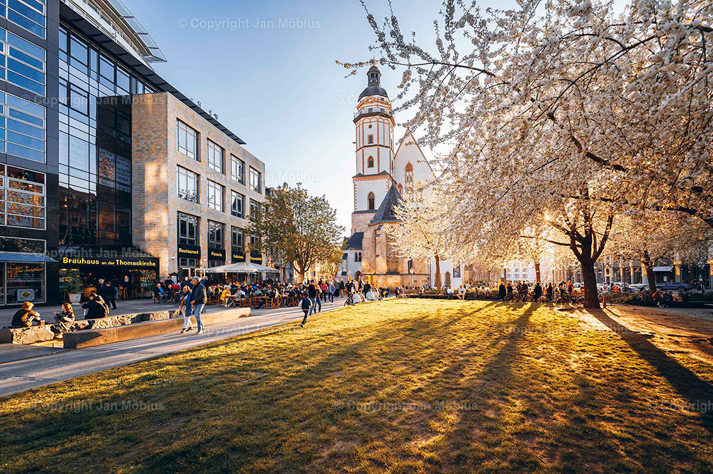 _DSC6461 | Leipzig Wandbilder Drucke Prints Leinwand Stadtmotive Leipzig Fotosdruck Kunstdrucke Bilder Leipzig Stadtansichten Acrylglasbilder Leipzig Wanddeko Fine Art Prints Wandbilder Büro Leipzig Bilder Praxis Zuhause Bilderdruck Poster Posterlounge Kunstdrucke - Realisiert mit Pictrs.com