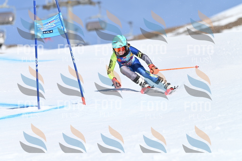 BGV_9470 | holidayphoto