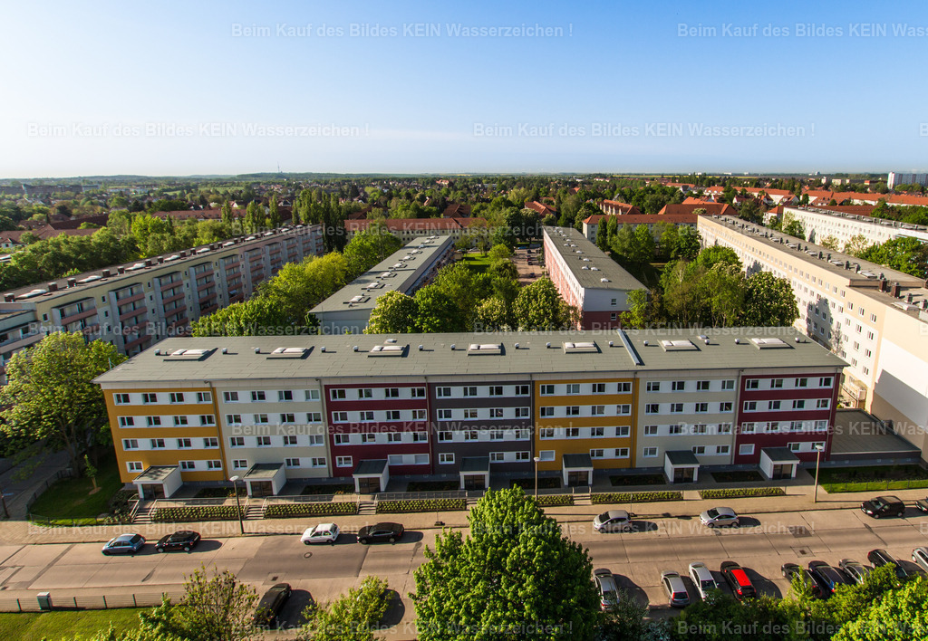 Stadtfelder Lion-Feuchtwanger 2018-0921 | Magdeburg Lion-Feuchtwanger Strasse - Realizado com Pictrs.com