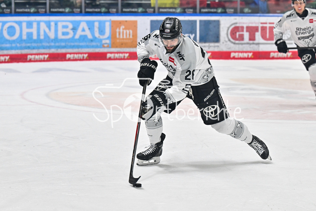 Augsburger Panther - Kölner Haie | AUGSBURG, GERMANY - 11. JANUARY: am Puck Dominik UHER (Kölner Haie 26) / Einzelfoto / Freisteller während dem Match zwischen den Augsburger Panthern und den Kölner Haien am 39. Spieltag der penny DEL im Curt Frenzel Stadion