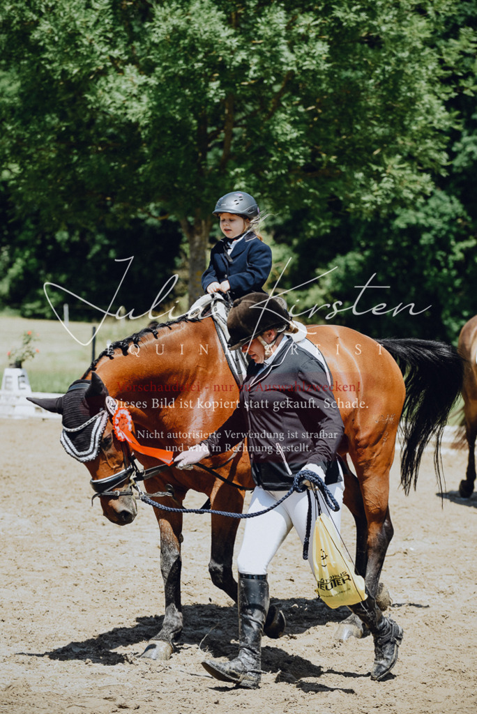 DSC_2722 | Pferde- und Turnierfotografie in Westsachsen. Pferdeportraits, Auftragszeichnungen und intuitive Kunst.