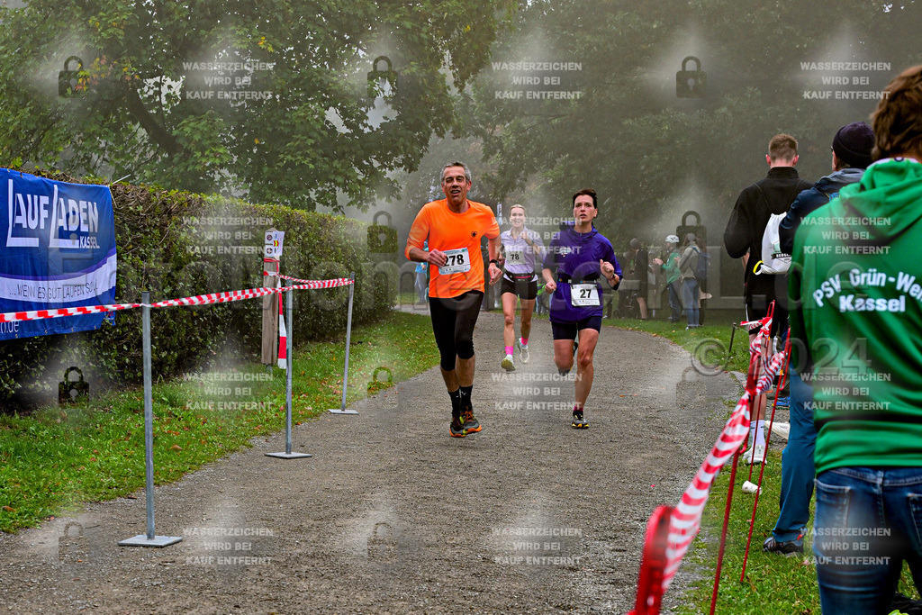 Z8N_1886 | la-psv - Realisiert mit Pictrs.com