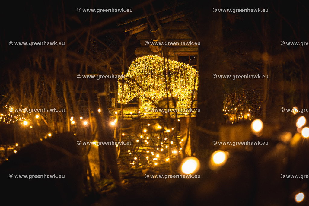 _MG_9938 | Greenhawks Bilder Shop für Landschaften, Urban, Tiere und weiteres als Poster Leinwand oder Fotogeschenk für Ostern Weihnachten oder Geburtstag  - Realisiert mit Pictrs.com