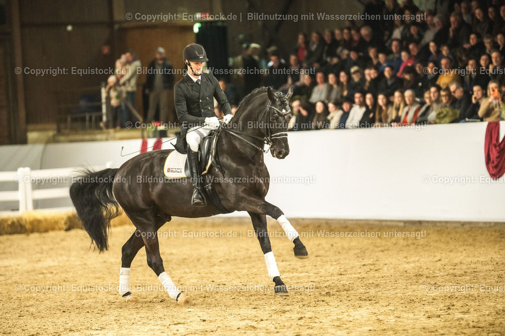 20240302_Hengstvorstellung_Marbach_TOMsPiC_1536-2 | equistock