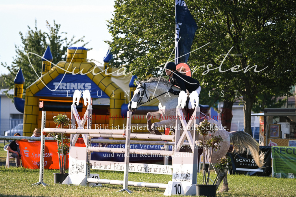 DSC_1800 | Pferde- und Turnierfotografie in Westsachsen. Pferdeportraits, Auftragszeichnungen und intuitive Kunst.