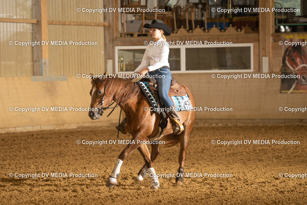 LAU00309 | dv-media-shop - Realisiert mit Pictrs.com