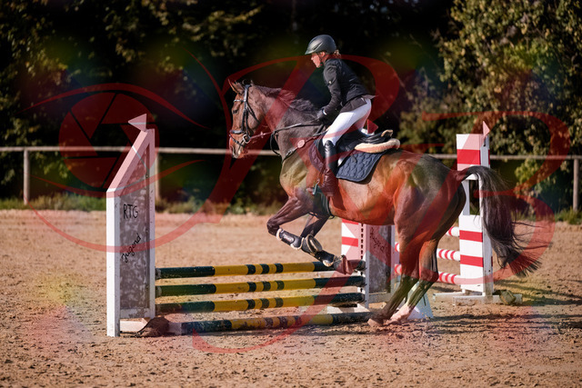 2026_10_03_Siefer-Hof_155916_Z81_79101976 | Professionelle Reitsport-, Turnier- und Eventfotografie von Robert Broda. Galerien mit ausgewählten und bearbeiteten Bildern direkt online ansehen und bestellen.