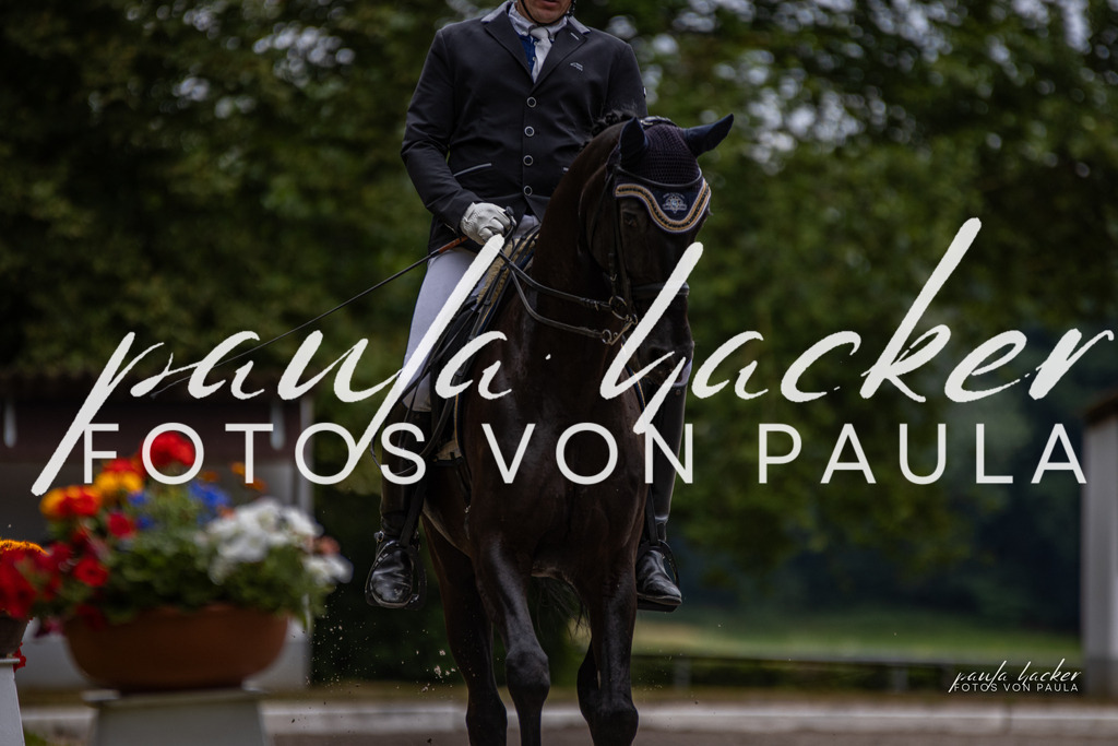 IMG_6343 | Erleben Sie dynamische Sport- und emotionale Tierfotografie in Süddeutschland mit Fotos von Paula. Spezialisiert auf Pferde- und Hundefotografie sowie Sportevents. Kontaktieren Sie mich für einzigartige und ausdrucksstarke Bilder Ihrer besonderen Momente. - Realisiert mit Pictrs.com