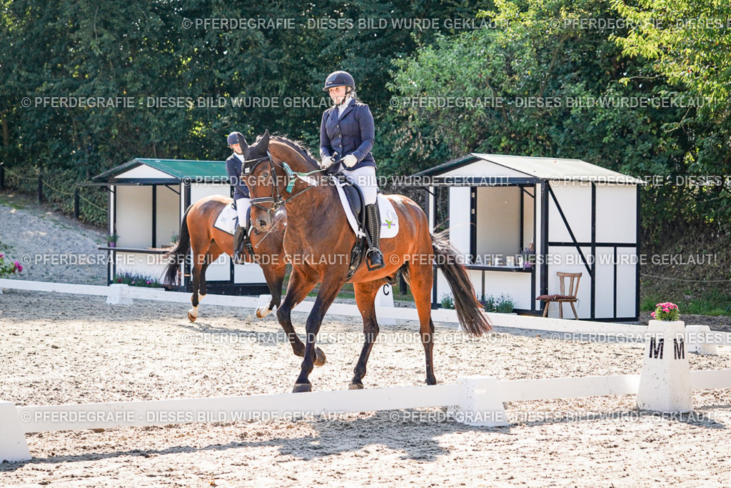 DSC00240 | Pferdegrafie