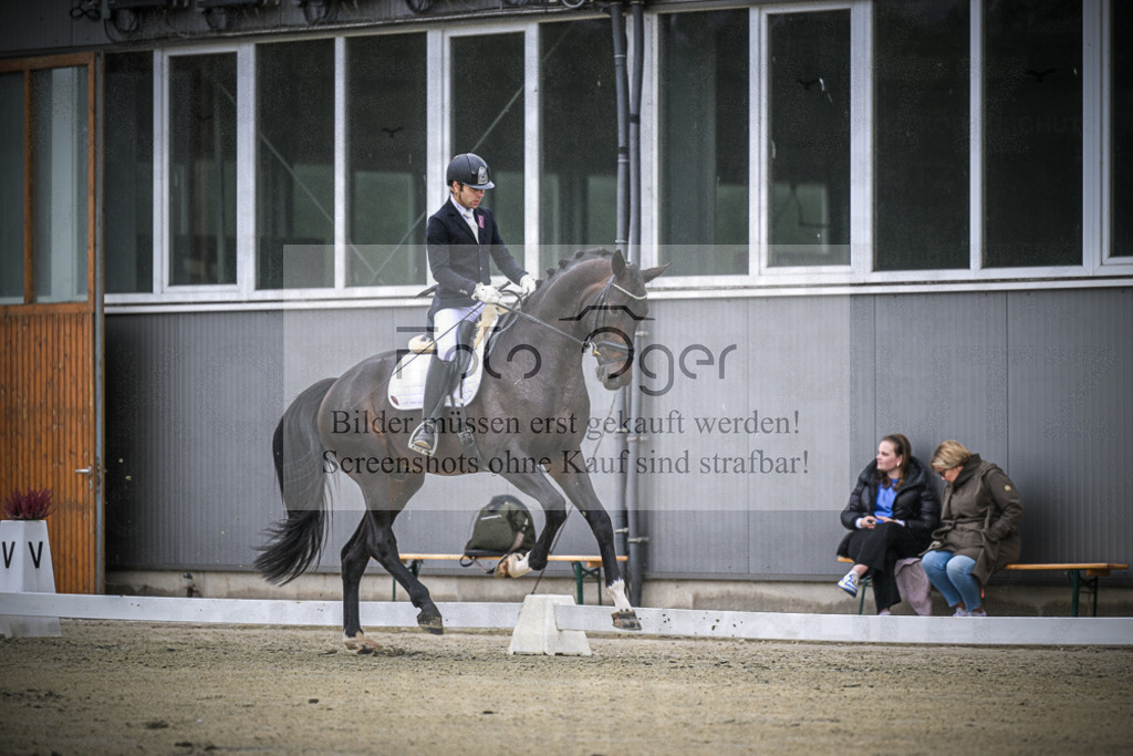 DOS_0147 | Entdecke hochwertige Reitturnierfotos von Foto Oger. Professionell, emotional und authentisch – jetzt Lieblingsmomente im Shop bestellen.Deutschlandweite Turnierfotografie. - Realisiert mit Pictrs.com
