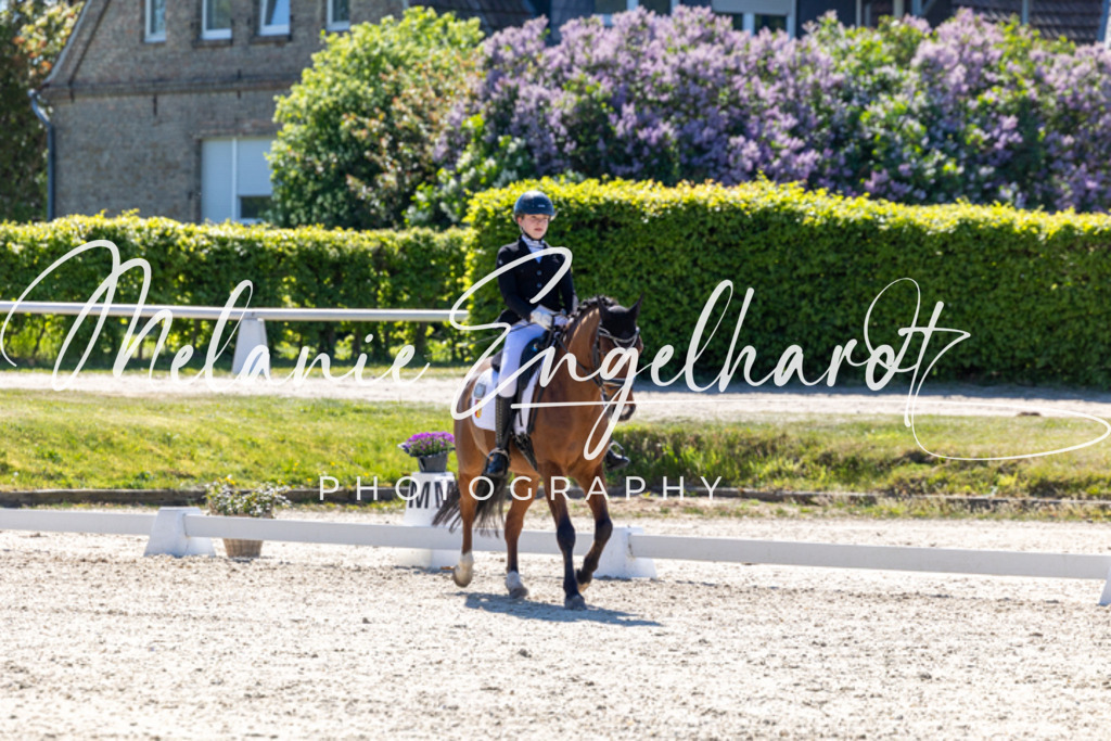 7I8A1878 | melanie-engelhardt-photography - Realisiert mit Pictrs.com
