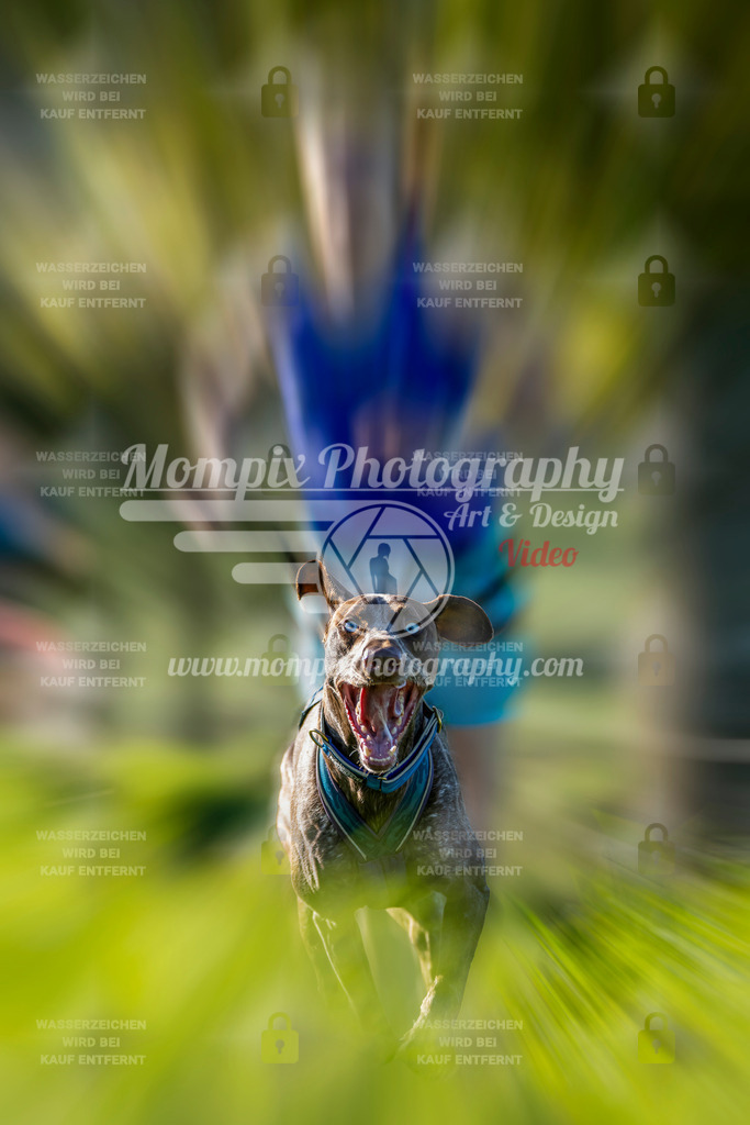 MompixPhotography_20TSB_E3_Run-106_special | PayLife
