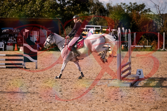 2026_10_03_Siefer-Hof_155127_Z81_70371103 | Professionelle Reitsport-, Turnier- und Eventfotografie von Robert Broda. Galerien mit ausgewählten und bearbeiteten Bildern direkt online ansehen und bestellen.