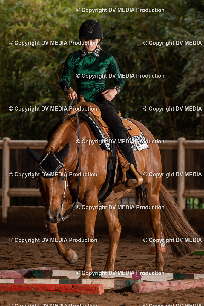 Erbach Tag 3-342 | dv-media-shop - Realisiert mit Pictrs.com