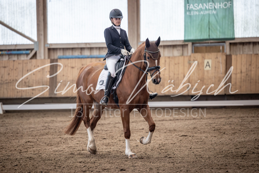 20251011-_3LI0095 | Tierfotografie Pferde, Hunde, Katzen, Haustiere.
Turnierfotografie Reitturniere, Reiten, Springreiten, Dressur in Hanau, dem Main-Kinzig-Kreis und dem Rhein-Main- Gebiet um Frankfurt