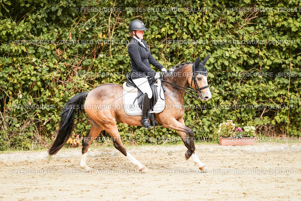 DSC02829 | Pferdegrafie