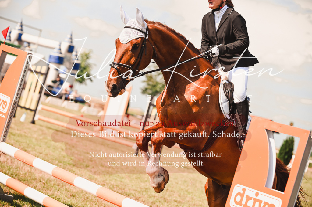 DSC_7343 | Pferde- und Turnierfotografie in Westsachsen. Pferdeportraits, Auftragszeichnungen und intuitive Kunst.