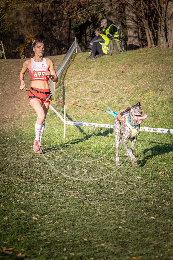 CaniXpix_0L8A9426 | Hundefotografie, Tierfotograf, Pfotenfotografie, Fotoshooting Hund, Hunde Portrait, Hundesport, Hundeportraits, Heideshooting, Hunde, Sportfotograf, Hundefotograf, Turnierhundsport, THS,  - Realisiert mit Pictrs.com