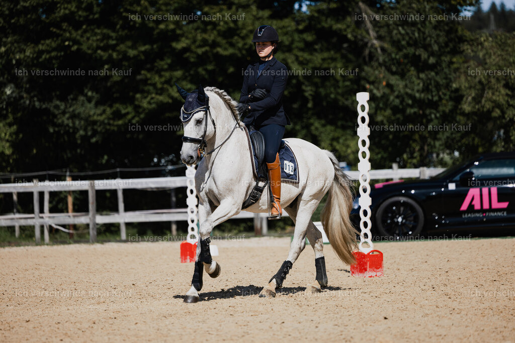 Svea13FHC2025-27383 | working equitationturnier fotograf videograf stoibphotography marixx film working equitation deutschland reitsport turnierfotografie eventfotografie equestrian events