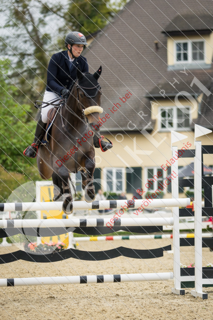 IMG_4298 | Hier findest Du viele Augenblicke aus den Bereichen der Turnier-, Sport- & Tierfotografie. Bilder mit deinem Liebling, Portrait-, Bewerbungs-, Businessbilder können ebenfalls schnell und einfach erstellt werden.