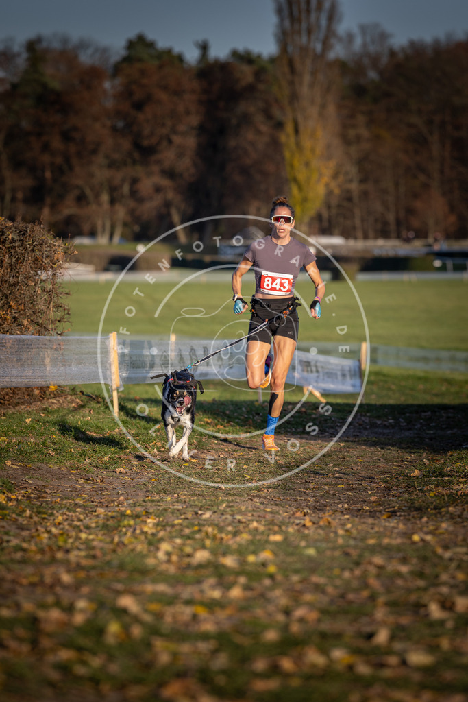 CaniXpix_DV3A3683 | Hundefotografie, Tierfotograf, Pfotenfotografie, Fotoshooting Hund, Hunde Portrait, Hundesport, Hundeportraits, Heideshooting, Hunde, Sportfotograf, Hundefotograf, Turnierhundsport, THS,  - Realisiert mit Pictrs.com