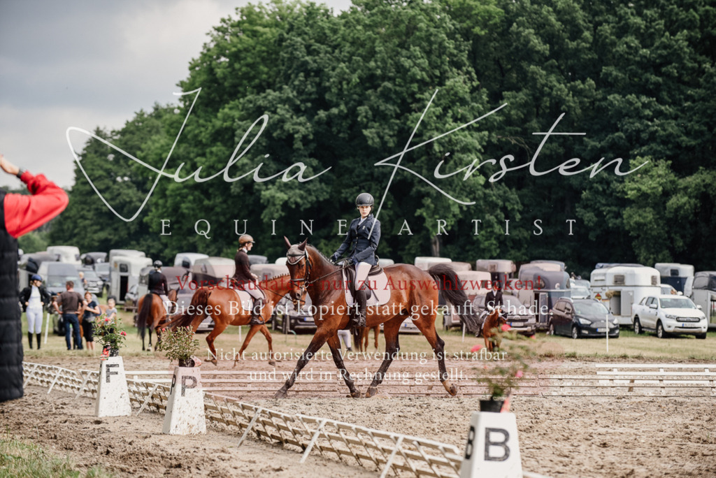 DSC_9599 | Pferde- und Turnierfotografie in Westsachsen. Pferdeportraits, Auftragszeichnungen und intuitive Kunst.
