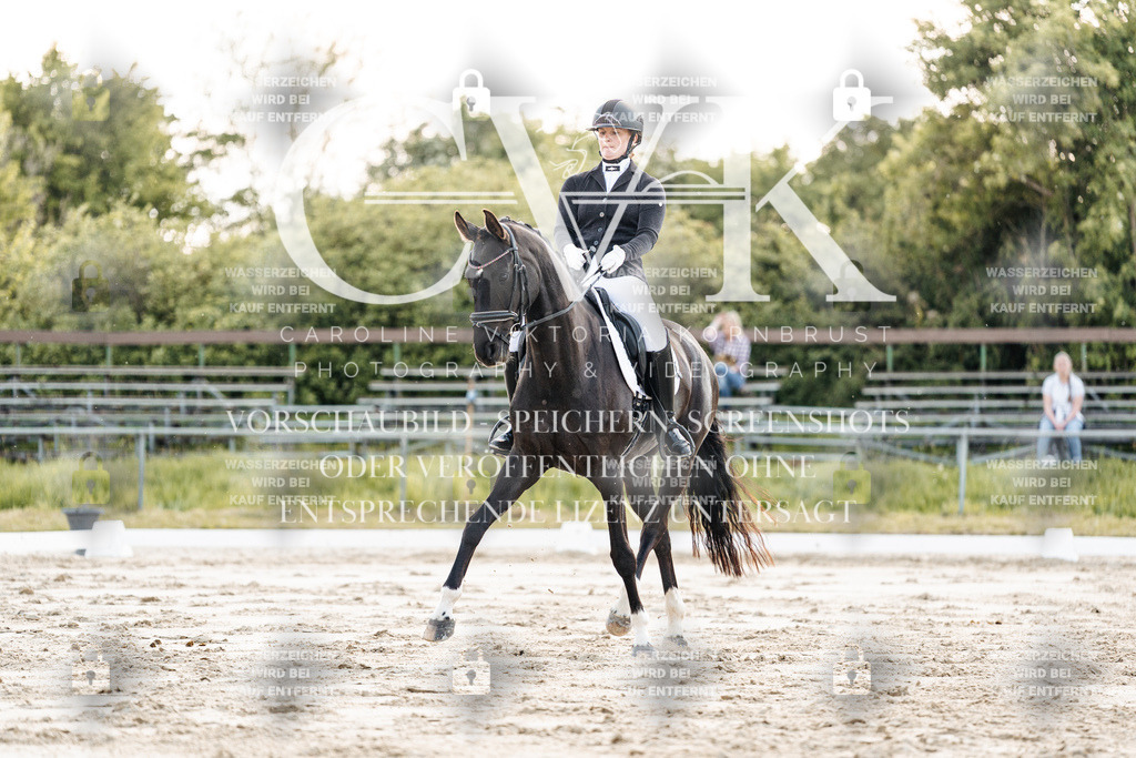 CK909376 | Turnierfotografie Pferdefotografie Trier Rheinland-Pfalz Pferdesport Reitsport Tierfotografie Sportfotografie Pferdevideo Pferdevideografie Equestrianvideography equestrianphotography  - Realisiert mit Pictrs.com