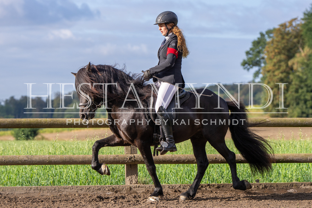 KAI03587 | Ihr sucht einen Fotografen für eure nächste OSI? Ich begleite auch euer Turnier für Islandpferde fotografisch.  - Realisiert mit Pictrs.com