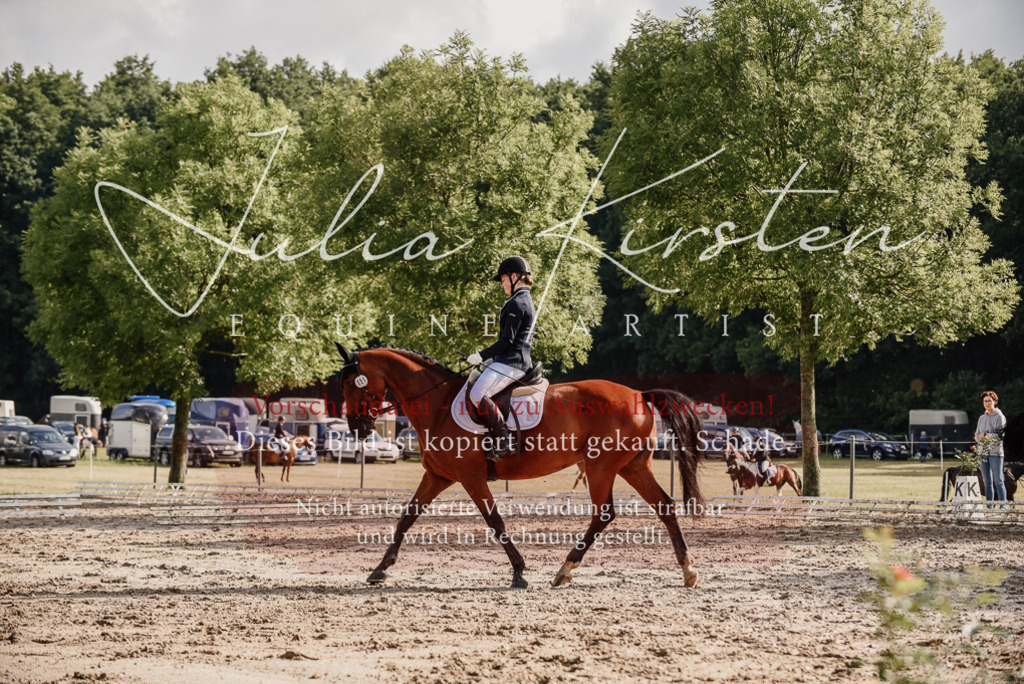DSC_8496 | Pferde- und Turnierfotografie in Westsachsen. Pferdeportraits, Auftragszeichnungen und intuitive Kunst.