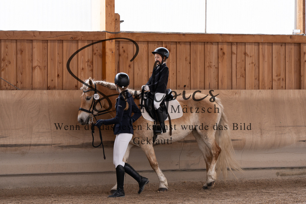 A7507265 | Pferdefotograf