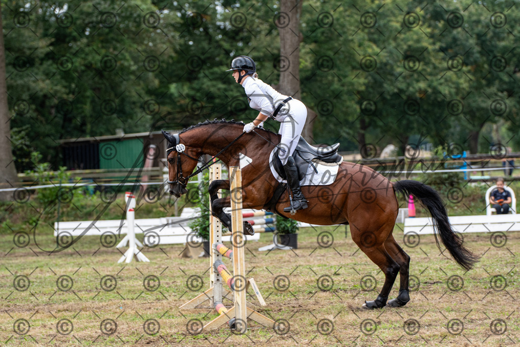 SHT_7623 | andre_photographic