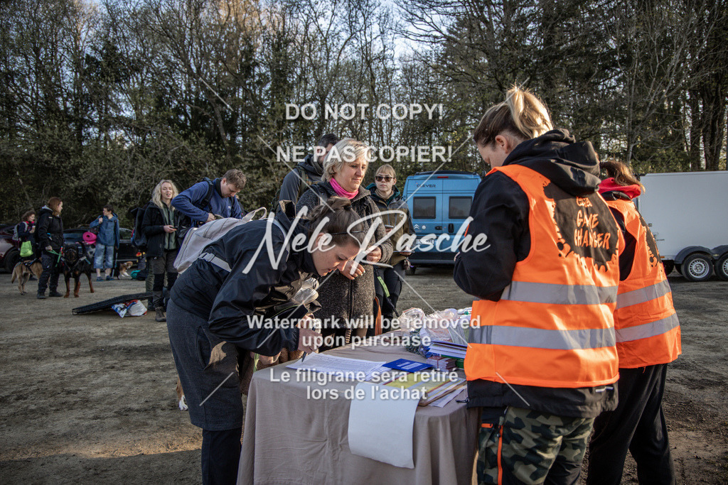 NR__0278-2 | nelerasche