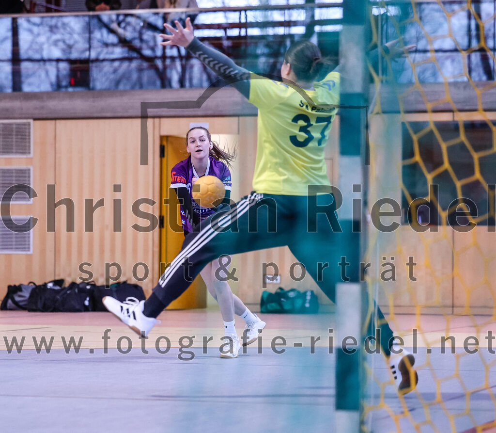 2024-12-14_046_SpVgg_Altenerding_gegen_SVA_Palzing | Erding, Deutschland, 14.12.2024:Handball, Bezirksoberliga Frauen Altbayern 2024 / 2024, 9. Spieltag, SpVgg Altenerding gegen SVA Palzing, Endergebnis: 20:30Lena Graf (SpVgg Altenerding, #6), Torfrau Julia Zierer (SVA Palzing, #37)Foto: Christian Riedel / fotografie-riedel.net