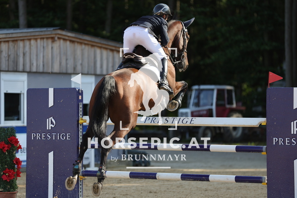 0P6A7997 | Willkommen bei Brunnmayr - Design & Fotografie – Ihrem Spezialisten für Reitturniere und Pferdeveranstaltungen in Oberösterreich, Salzburg und Bayern! Seit über 17 Jahren sind wir leidenschaftlich dabei.