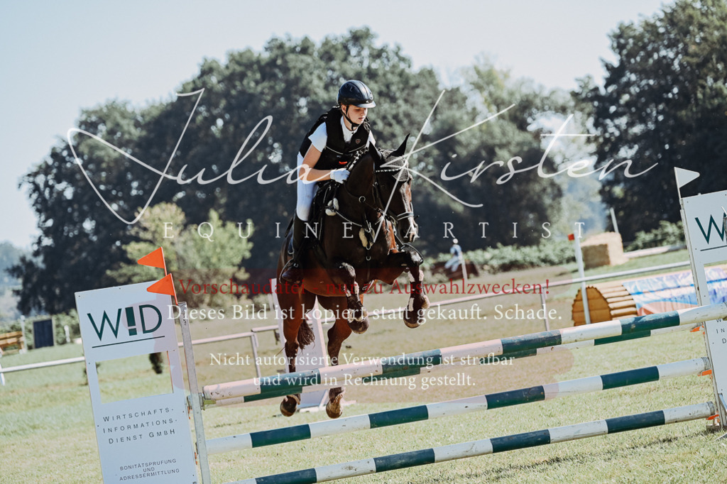 DSC_5483 | Pferde- und Turnierfotografie in Westsachsen. Pferdeportraits, Auftragszeichnungen und intuitive Kunst.