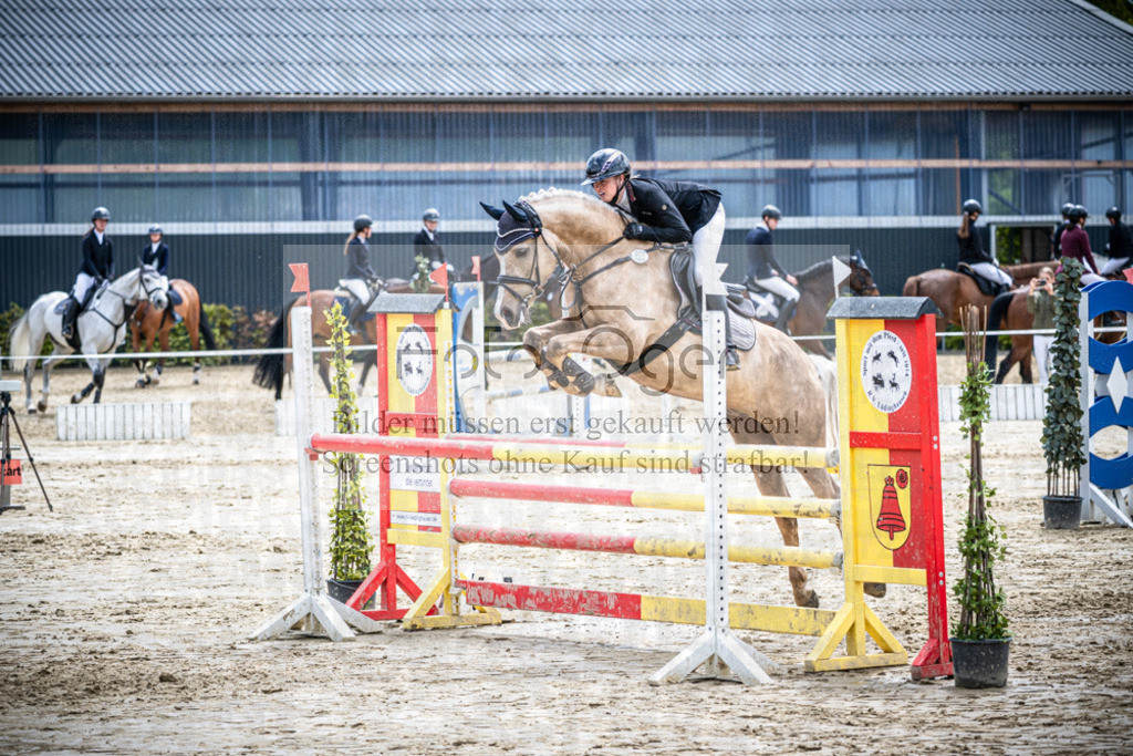 DOS_2394 | Reitturnier Lüdinghausen - Realisiert mit Pictrs.com