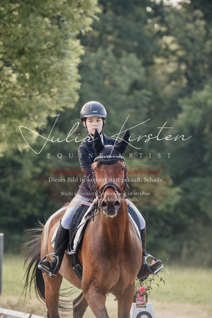 DSC_7917 | Pferde- und Turnierfotografie in Westsachsen. Pferdeportraits, Auftragszeichnungen und intuitive Kunst.