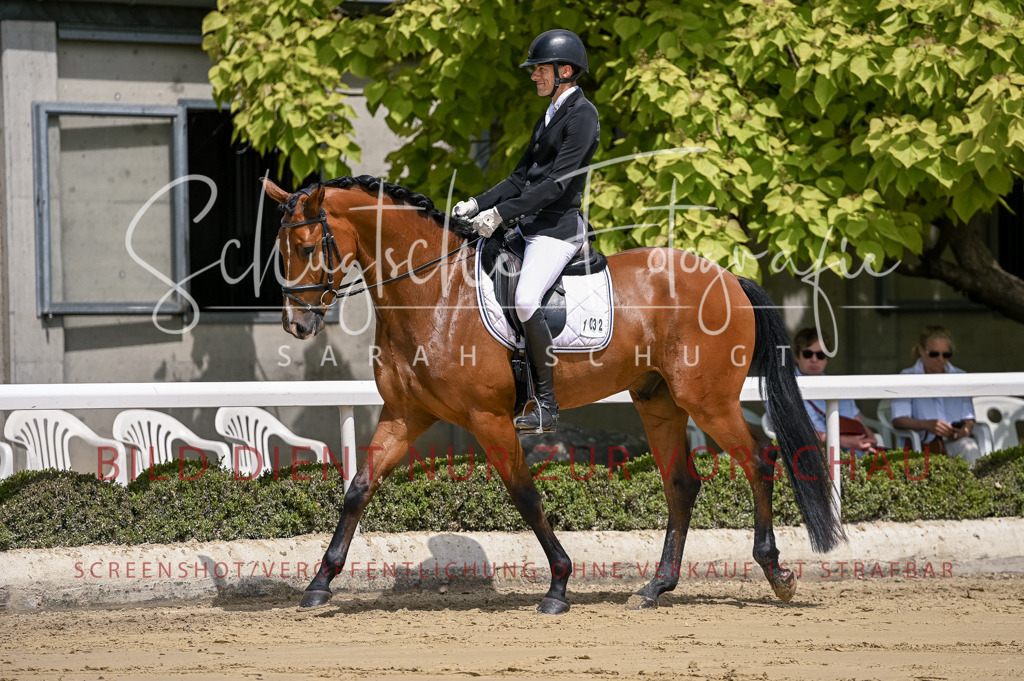 Schugtsche-Aluta25-48.Reitpferfdeprf.-183 | Schugtsche Fotografie - Realisiert mit Pictrs.com