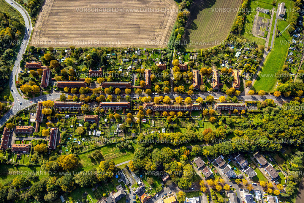 Hamm241008709 | Luftbild, Bergarbeitersiedlung Wohnsiedlung Vogelsang, herbstliche Bäume, Stadtbezirk Heessen, Hamm, Ruhrgebiet, Nordrhein-Westfalen, Deutschland