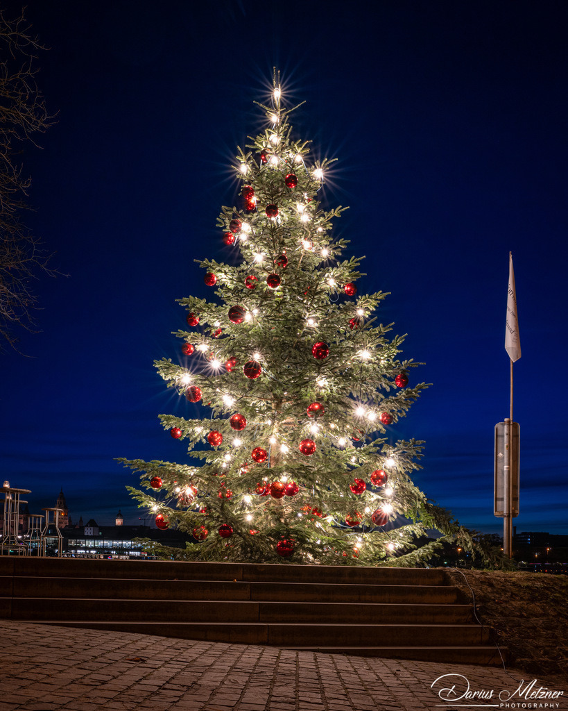 DSC_6743 2 | Fotografien, Fotos und Bilder aus Mainz, Frankfurt, Wiesbaden und anderen Orten auf der Welt - Fotografiert von Darius Metzner