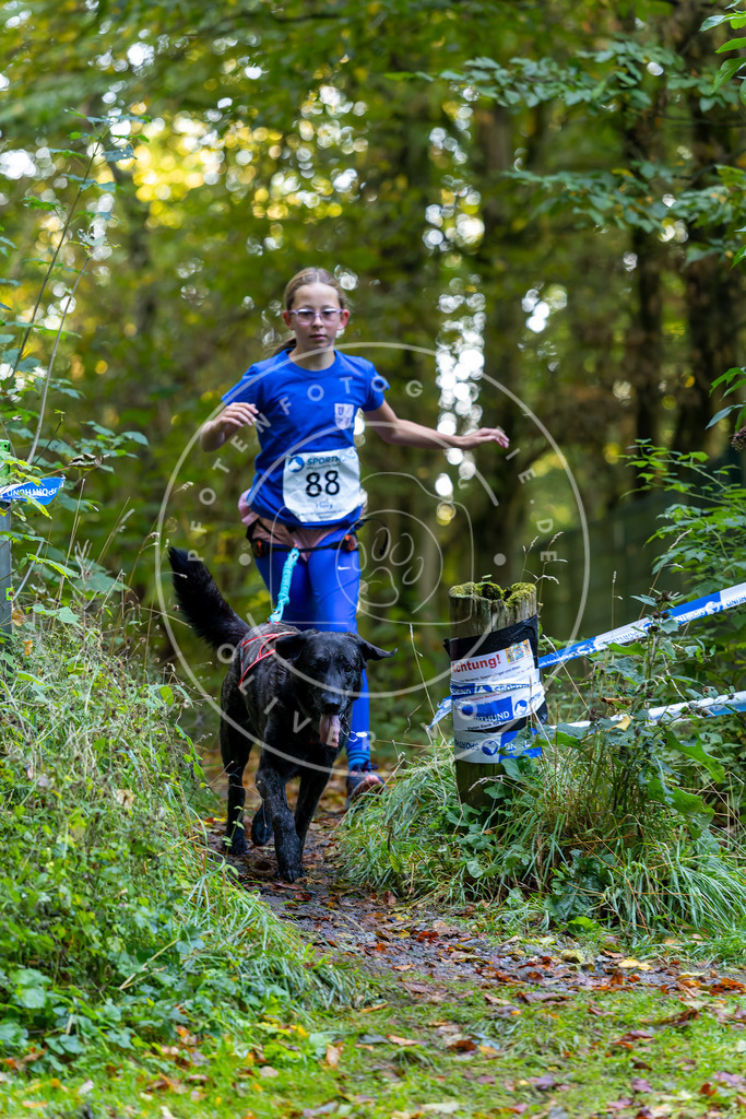 Pfotenfotografie_DV3A7647 | Hundefotografie, Tierfotograf, Pfotenfotografie, Fotoshooting Hund, Hunde Portrait, Hundesport, Hundeportraits, Heideshooting, Hunde, Sportfotograf, Hundefotograf, Turnierhundsport, THS,  - Realisiert mit Pictrs.com