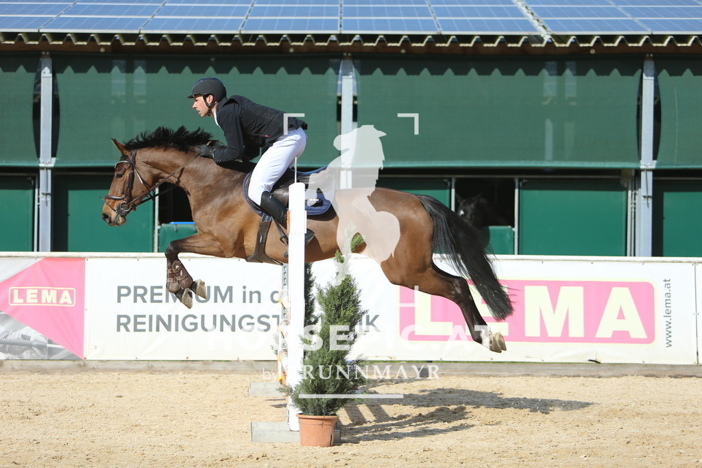 DL2Q3766 | Willkommen bei Brunnmayr - Design & Fotografie – Ihrem Spezialisten für Reitturniere und Pferdeveranstaltungen in Oberösterreich, Salzburg und Bayern! Seit über 17 Jahren sind wir leidenschaftlich dabei.