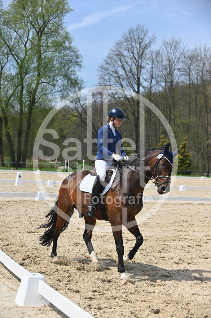 DSC_2016 | sattelsport - Realisiert mit Pictrs.com